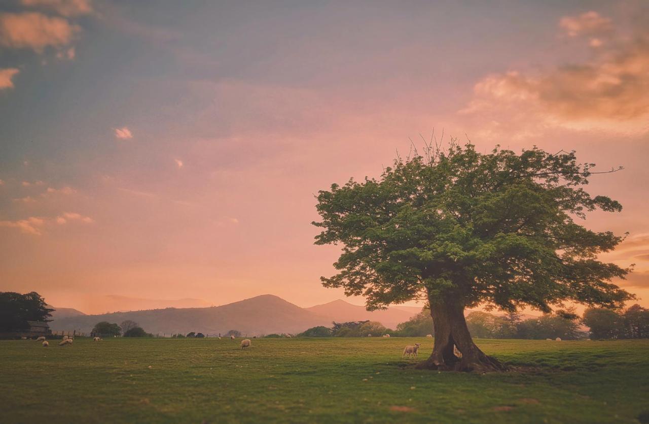فيلا Yr Hen Berllan In The Beautiful Rowen كونوي المظهر الخارجي الصورة